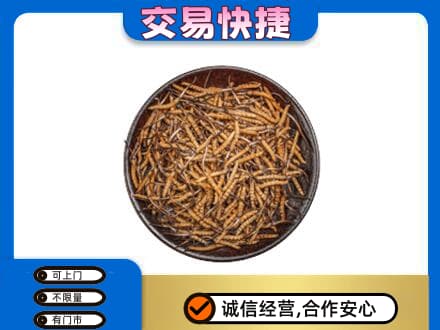 阜新市清河门高价回收散虫草